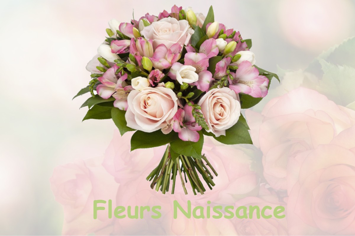 fleurs naissance TOUET-SUR-VAR