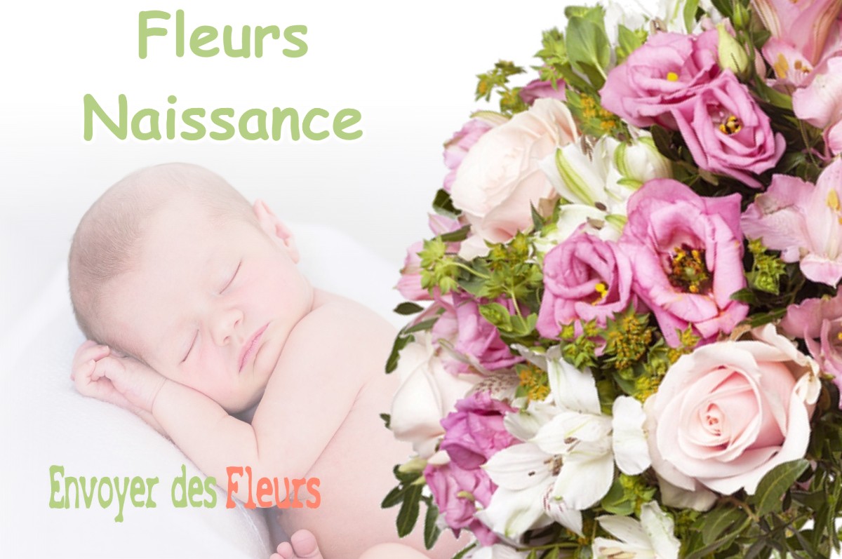 lIVRAISON FLEURS NAISSANCE à TOUET-SUR-VAR